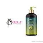 MIELLE AVOCADO & TAMANU ANTI-FRIZZ SHAMPOO 12oz